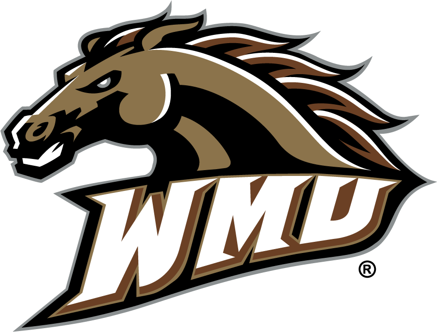 Western Michigan Broncos 1998-2016 Alternate Logo DIY iron on transfer (heat transfer)